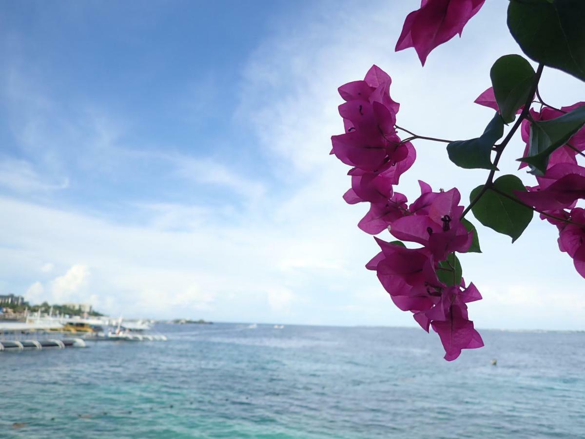Nost Cottages Lapu-Lapu City Dış mekan fotoğraf